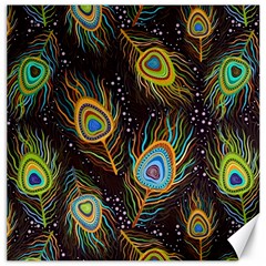 Pattern Feather Peacock Canvas 16  X 16 