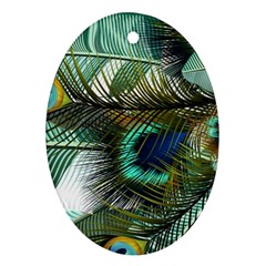 Peacock Feathers Blue Green Texture Ornament (oval)