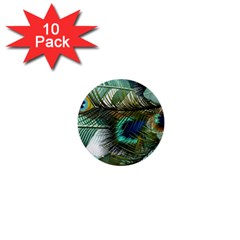 Peacock Feathers Blue Green Texture 1  Mini Buttons (10 Pack) 