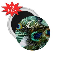 Peacock Feathers Blue Green Texture 2 25  Magnets (10 Pack) 