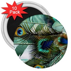 Peacock Feathers Blue Green Texture 3  Magnets (10 Pack) 