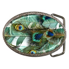 Peacock Feathers Blue Green Texture Belt Buckles