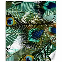 Peacock Feathers Blue Green Texture Canvas 20  X 24 