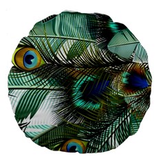 Peacock Feathers Blue Green Texture Large 18  Premium Flano Round Cushions