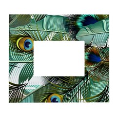Peacock Feathers Blue Green Texture White Wall Photo Frame 5  X 7 