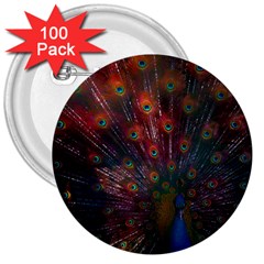 Red Peacock Feather 3  Buttons (100 Pack) 