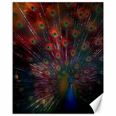 Red Peacock Feather Canvas 11  X 14 