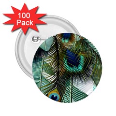 Peacock Feathers Feather Blue Green 2 25  Buttons (100 Pack) 