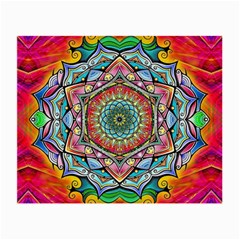 Mandalas Psychedelic Small Glasses Cloth (2 Sides)