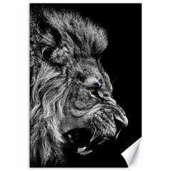 Angry Lion Black And White Canvas 12  X 18 