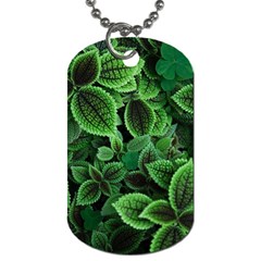 Shanghai Botanical Garden Dog Tag (one Side)