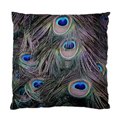 Peacock Feathers Peacock Bird Feathers Standard Cushion Case (two Sides) by Ndabl3x