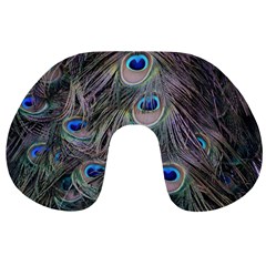 Peacock Feathers Peacock Bird Feathers Travel Neck Pillow by Ndabl3x