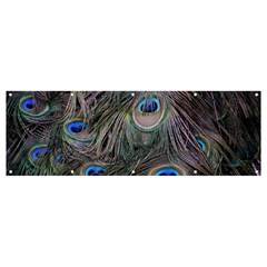 Peacock Feathers Peacock Bird Feathers Banner And Sign 12  X 4  by Ndabl3x