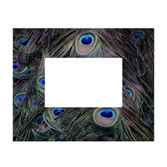 Peacock Feathers Peacock Bird Feathers White Tabletop Photo Frame 4 x6  by Ndabl3x