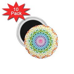 Mandala Pattern Rainbow Pride 1 75  Magnets (10 Pack) 