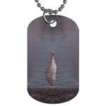 Plunging Snapper Dog Tag