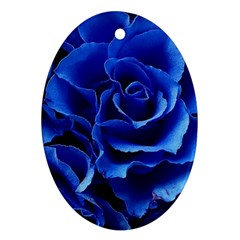 Blue Roses Flowers Plant Romance Blossom Bloom Nature Flora Petals Ornament (oval)