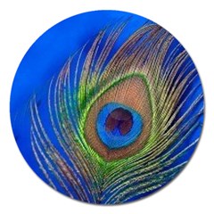 Blue Peacock Feather Magnet 5  (round) by Amaryn4rt