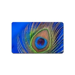 Blue Peacock Feather Magnet (name Card) by Amaryn4rt