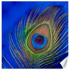 Blue Peacock Feather Canvas 16  X 16  by Amaryn4rt