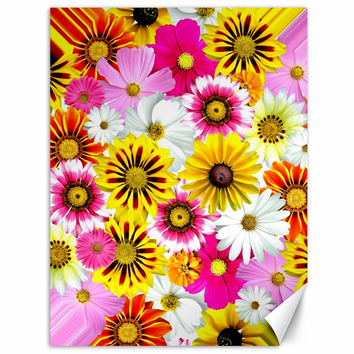 Flowers Blossom Bloom Nature Plant Canvas 36  x 48 