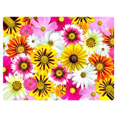 Flowers Blossom Bloom Nature Plant Two Sides Premium Plush Fleece Blanket (Extra Small)