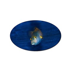 Fish Blue Animal Water Nature Sticker Oval (10 pack)