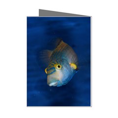 Fish Blue Animal Water Nature Mini Greeting Cards (Pkg of 8)