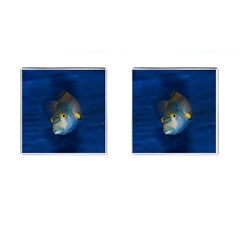Fish Blue Animal Water Nature Cufflinks (square) by Amaryn4rt