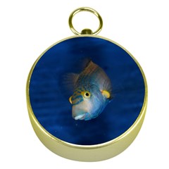 Fish Blue Animal Water Nature Gold Compasses by Amaryn4rt