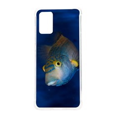 Fish Blue Animal Water Nature Samsung Galaxy S20plus 6 7 Inch Tpu Uv Case by Amaryn4rt