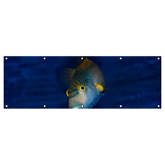 Fish Blue Animal Water Nature Banner and Sign 12  x 4 