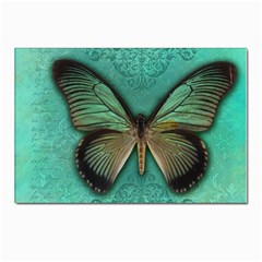 Butterfly Background Vintage Old Grunge Postcard 4 x 6  (pkg Of 10)