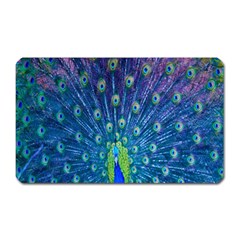 Amazing Peacock Magnet (rectangular)
