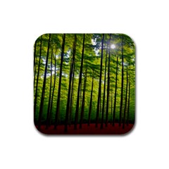 Green Forest Jungle Trees Nature Sunny Rubber Square Coaster (4 Pack)