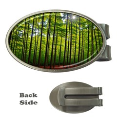 Green Forest Jungle Trees Nature Sunny Money Clips (oval) 