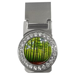 Green Forest Jungle Trees Nature Sunny Money Clips (cz)  by Ravend