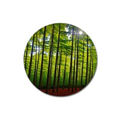 Green Forest Jungle Trees Nature Sunny Magnet 3  (round) by Ravend