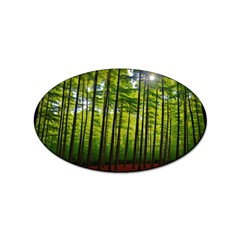 Green Forest Jungle Trees Nature Sunny Sticker Oval (10 Pack) by Ravend