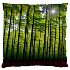 Green Forest Jungle Trees Nature Sunny Large Premium Plush Fleece Cushion Case (one Side)