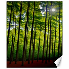 Green Forest Jungle Trees Nature Sunny Canvas 8  X 10  by Ravend