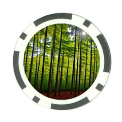 Green Forest Jungle Trees Nature Sunny Poker Chip Card Guard (10 Pack)