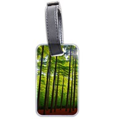 Green Forest Jungle Trees Nature Sunny Luggage Tag (two Sides)