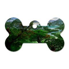 Jungle Forreast Landscape Nature Dog Tag Bone (one Side)