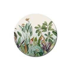 Tropical Jungle Plants Magnet 3  (round) by Ravend