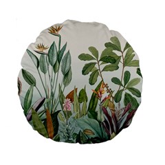 Tropical Jungle Plants Standard 15  Premium Round Cushions