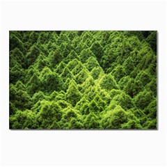 Green Pine Forest Postcards 5  X 7  (pkg Of 10) by Ravend