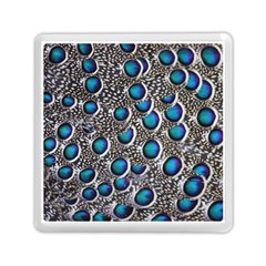 Peacock Pattern Close Up Plumage Memory Card Reader (square) by Celenk