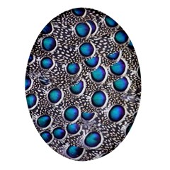 Peacock Pattern Close Up Plumage Oval Glass Fridge Magnet (4 Pack)